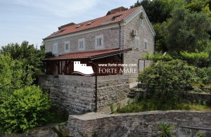 thumb_2316088_forte-mare13755.jpg