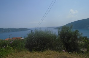thumb_2791358_6.jpg