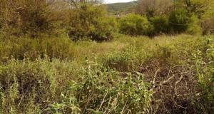 thumb_3283633_2024-05-06_13-49-06.jpg