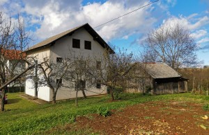 thumb_3311045_grabovac-1.jpg