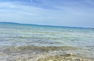 thumb_3324454_thumbnail_img_0782.jpg