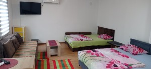 thumb_3331714_img_20230417_104343.jpg