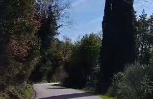 thumb_3371795_1.jpg