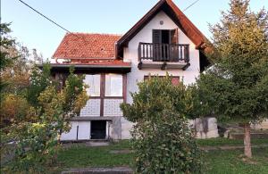 thumb_3389721_slika1.jpg
