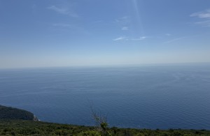 thumb_3406916_img_2120.jpeg
