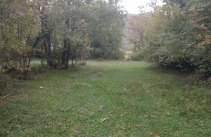 thumb_3408461_img_20241018_173537.jpg
