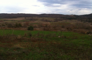 thumb_3429665_img_1687.jpg