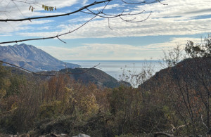 thumb_3462027_87e6d6d3-1d46-421e-b31f-84a5336172f0r.jpeg