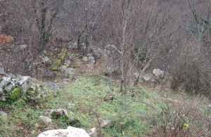 thumb_3462695_20250106_140852.jpg