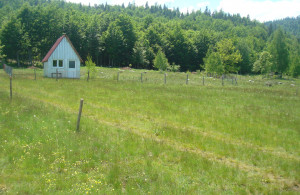 thumb_3465268_dsc04150--1-.jpg