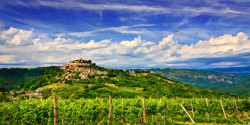 /c_images/thumb_3469444_1_motovun_02.jpg