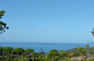 thumb_3498208_1.jpg