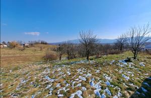 thumb_3499913_slika4.jpg