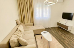 /c_images/thumb_3501610_1_shnyj-apartament-v-novom-zhilom-komplekse-radanovichi-03.jpg