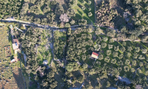 thumb_3502713_dji_0461.jpg