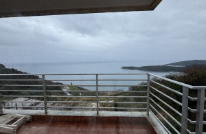 thumb_3511464_img_7817.jpeg