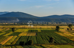 /c_images/thumb_3513225_1_1741176205_sinjsko-polje.jpg