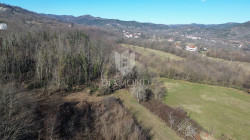 /c_images/thumb_3518409_1_1738759719_dji_0894.jpg