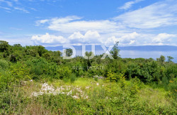 /c_images/thumb_3545020_1_139_istra-gradevinsko-zemljiste-pogled-na-more-prodaja-3.jpg