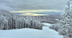 /c_images/thumb_3546105_1_1744890958_zemljiste-platak-8400-m2-slika-243087259.jpg