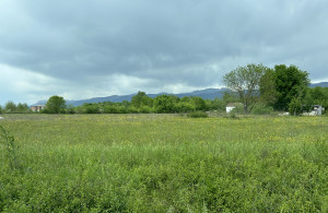 thumb_3547681_img_2012.jpeg