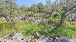 /c_images/thumb_3547965_1_zemljiste_s_projektom_i_gradevinskom_dozvolom_prodaja_08.jpg