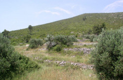/c_images/thumb_3548124_1_1710332301_poljoprivredno-zemljiste-brna-smokvica-38.jpg